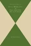 FATA MORGANA O LOS EFECTOS DE LA CAUSA