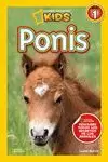 PONIS NIVEL 1