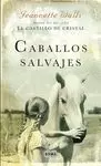 CABALLOS SALVAJES