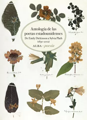 ANTOLOGÍA DE LAS POETAS ESTADOUNIDENSES