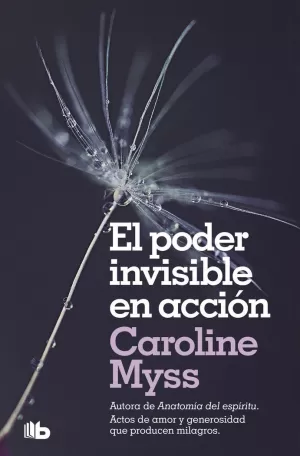 PODER INVISIBLE EN ACCIÓN, EL