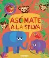 ASOMATE A LA SELVA (SOLAPAS)