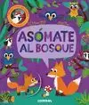 ASOMATE AL BOSQUE (SOLAPAS)