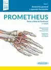 PROMETHEUS TEXTO Y ATLAS DE ANATOMIA