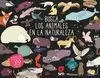 BUSCA LOS ANIMALES EN LA NATURALEZA (SOLAPAS)