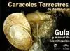 CARACOLES TERRESTRES DE ANDALUCIA