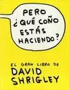 PERO, ¿QUÉ COÑO ESTÁS HACIENDO?