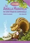 ARDILLA MARAVILLA NO COME PORQUE ES CAPRICHOSILLA