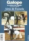 AIRES DE ESCUELA GUIA PRACTICA N 6