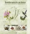 REMEDIOS NATURALES CON PLANTAS GUIA COMPLETA CULTIVAR COCINA