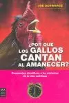 POR QUÉ LOS GALLOS CANTAN AL AMANECER?
