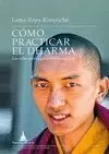 COMO PRACTICAR EL DHARMA