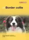BORDER COLLIE, EL