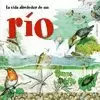 VIDA ALREDEDOR DE UN RÍO
