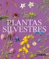 PLANTAS SILVESTRES