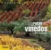 MEJORES RUTAS POR LOS VIÑEDOS DE ESPAÑA