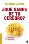 QUÉ SABES DE TU CEREBRO