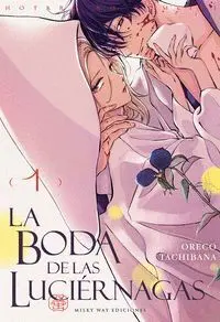 BODA DE LAS LUCIÉRNAGAS 1