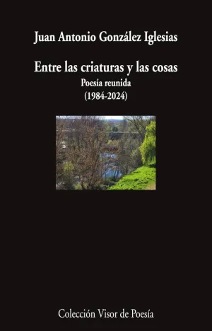 ENTRE LAS CRIATURAS Y LAS COSAS