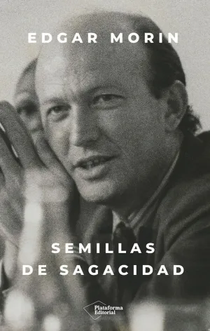 SEMILLAS DE SAGACIDAD