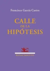 CALLE DE LA HIPÓTESIS